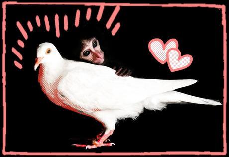 ¿Cómo elegir a nuestros amigos?