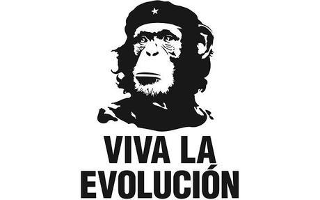 Evolución Evolución