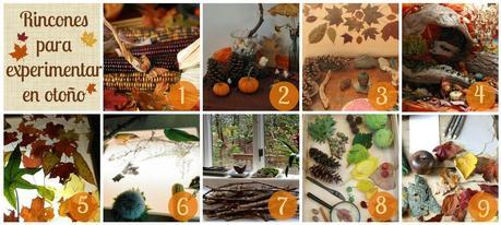 Recursos: +45 Propuestas manipulativas y sensoriales para otoño