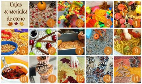 Recursos: +45 Propuestas manipulativas y sensoriales para otoño