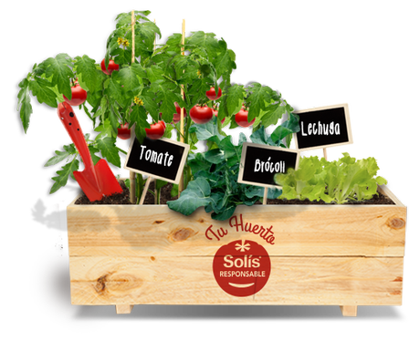 bg.cajon huerto Sorteo: un huerto para tu casa con Solís