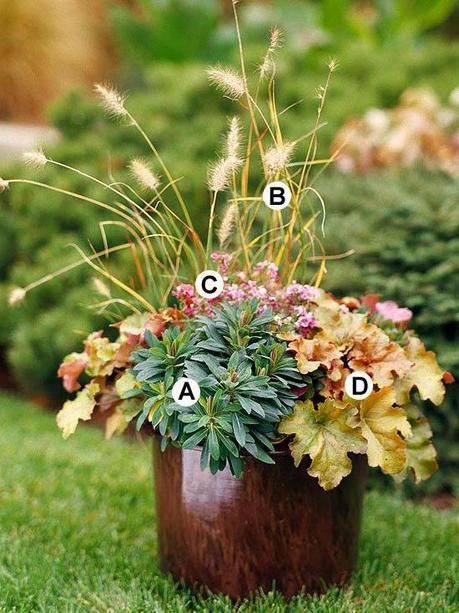 Otoño en una maceta