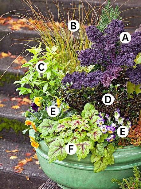 Otoño en una maceta