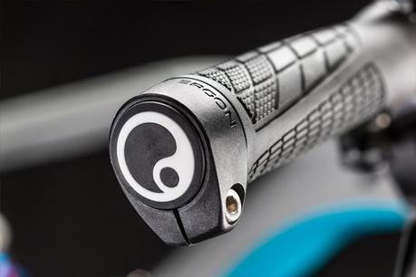 Canyon Spectral AL 29 6.9 7