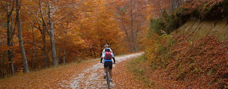 Montar en bicicleta en otoño