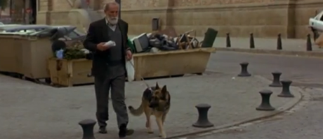 Pancho y los perros NO millonarios