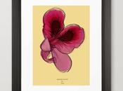 Freebie: lámina floral