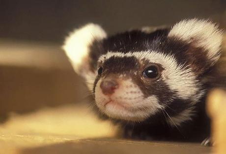 Cuento KindleGarten: Cuento KindleGarten: