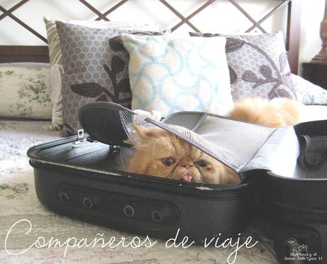 a mi yo de 16 años...