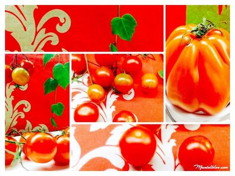 Sopa de tomate  Tipo de tomates_Fotor