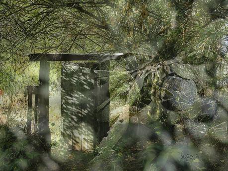 12 s.e.p.t.e.m.b.e.r