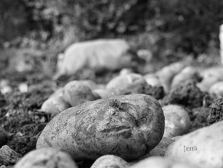 12 s.e.p.t.e.m.b.e.r