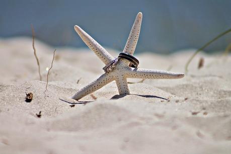 estrella de mar con alianzas de boda