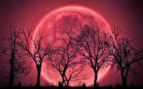 Luna de octubre, el extraño Selenelion