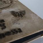 Papelería Nupcial de Vanessa y Rubén