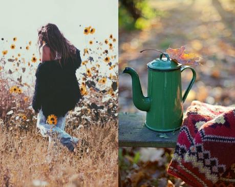 FALL INSPIRATION | PINTEREST