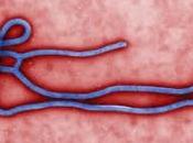 ébola, crónica crisis
