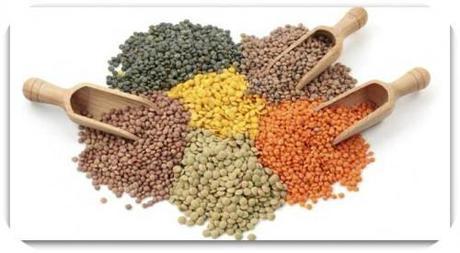 Las legumbres-Curiosodades Gastrómicas