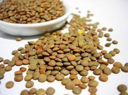 Las legumbres-Curiosodades Gastrómicas