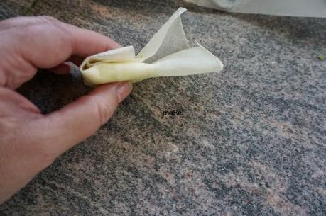 Delicias extremeñas - paquetitos y triangulos de jamon y queso