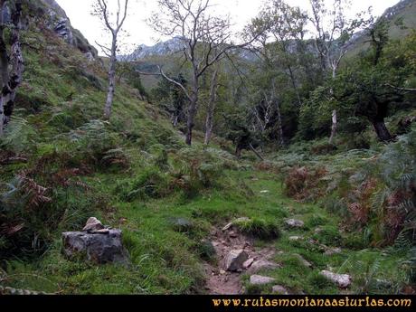 Ruta Molina, Cabezo Llerosos: Subiendo por zona boscosa