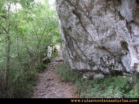 Ruta Molina, Cabezo Llerosos: Camino de la Molina al rio Casaño