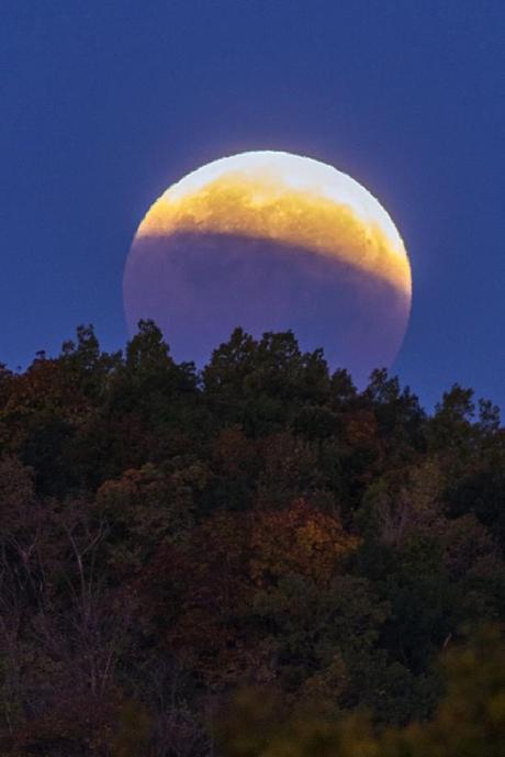 De Alan Stankevitz desde La Crescent, MN