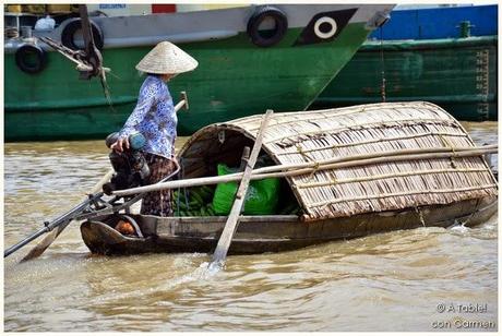 Navegando por el Delta del Mekong: Frutas exóticas, Mercado flotante y Escenarios de película