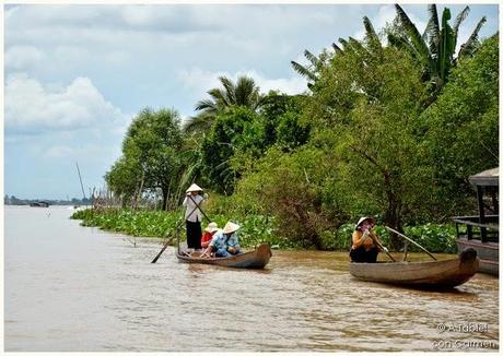 Navegando por el Delta del Mekong: Frutas exóticas, Mercado flotante y Escenarios de película