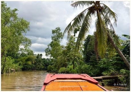 Navegando por el Delta del Mekong: Frutas exóticas, Mercado flotante y Escenarios de película