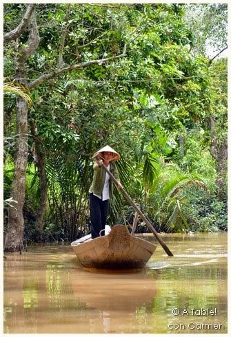 Navegando por el Delta del Mekong: Frutas exóticas, Mercado flotante y Escenarios de película