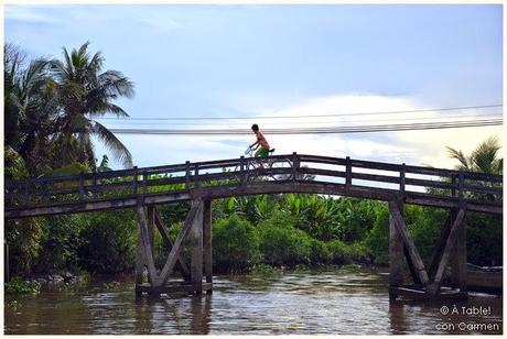 Navegando por el Delta del Mekong: Frutas exóticas, Mercado flotante y Escenarios de película