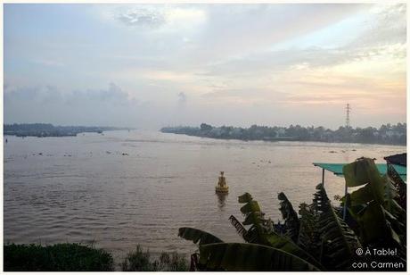 Navegando por el Delta del Mekong: Frutas exóticas, Mercado flotante y Escenarios de película