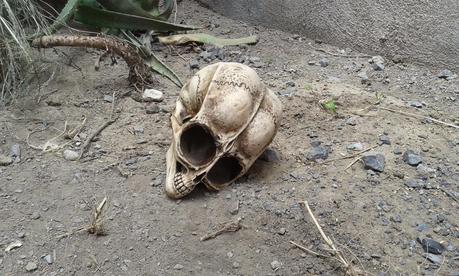 La evidencia extraterrestre