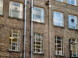 Janet Parker o cuando la viruela encontró el fallo del protocolo