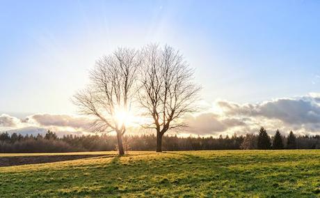 Estudian cómo la conciencia sobrevive a la muerte clínica