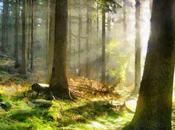 violencia nuestras vidas