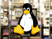 Usos para viejo Servidor Casero (2/2)