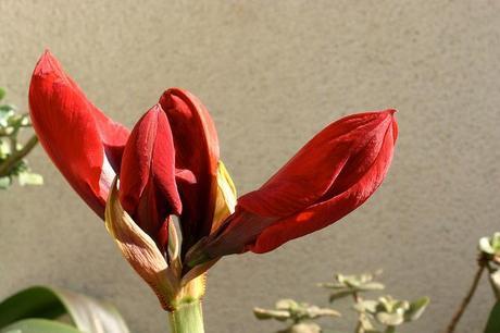 balcón_3_20140513 - Version 2 +