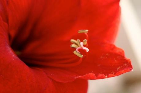 balcón_17_20140522 - Version 2 +