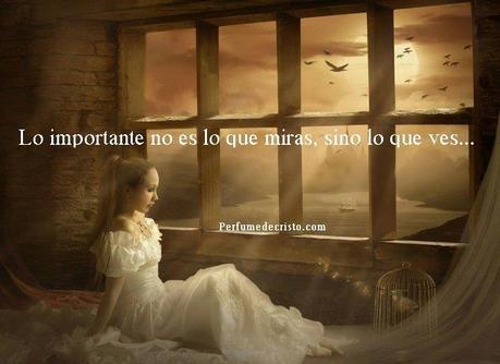 en el pajarillo miro