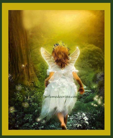 10703614_308813672636229_8475228448526962633_n