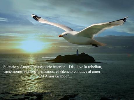 sugerentes_reflejos de luz (204)