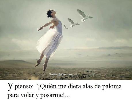 734639_372475219517884_1677667526_n