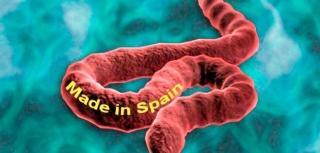 Ébola, la consecuencia de un gobierno incompetente