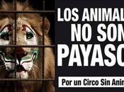 Prohíben circos animales Luis Potosí