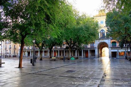 Cuando despierta  Zocodover