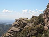 ¿Necesito estar On-line, profesionalmente?