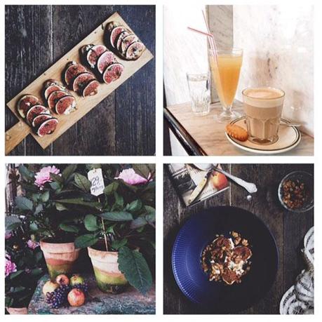 5 cuentas a seguir en Instagram