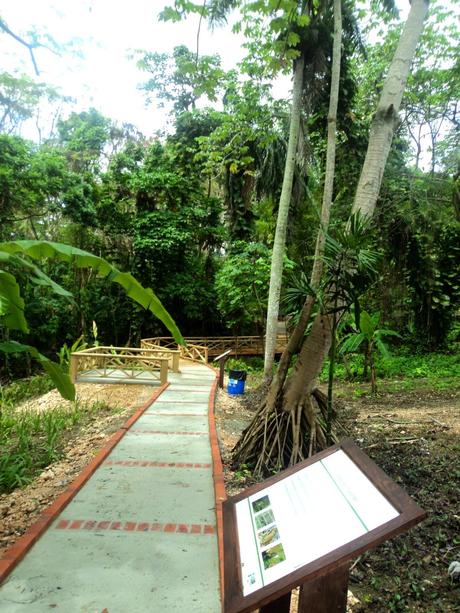 Un sendero para los discapacitados